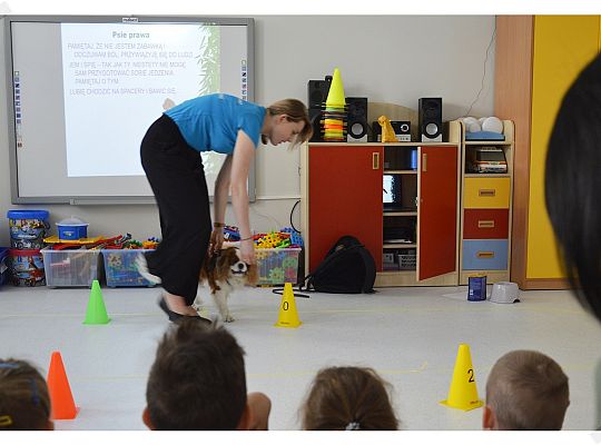 Pies jest największym przyjacielem człowieka!