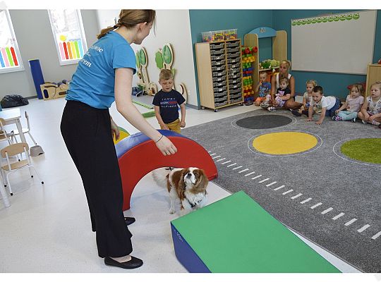 Pies jest największym przyjacielem człowieka!