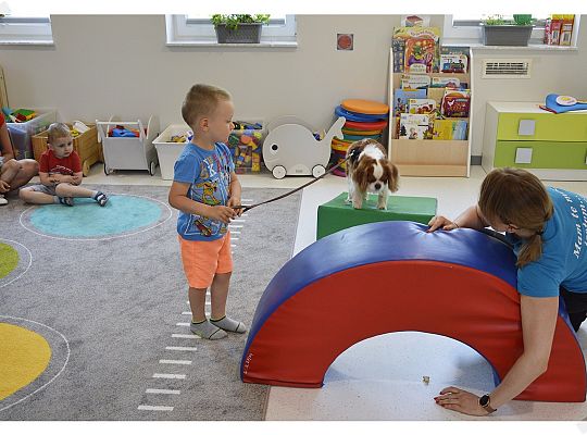 Pies jest największym przyjacielem człowieka!