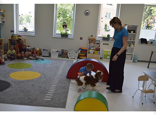 Pies jest największym przyjacielem człowieka!