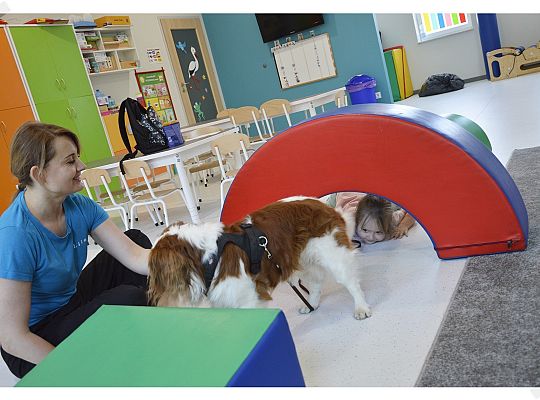 Pies jest największym przyjacielem człowieka!