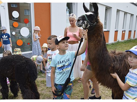 „ Bezpieczne wakacje”