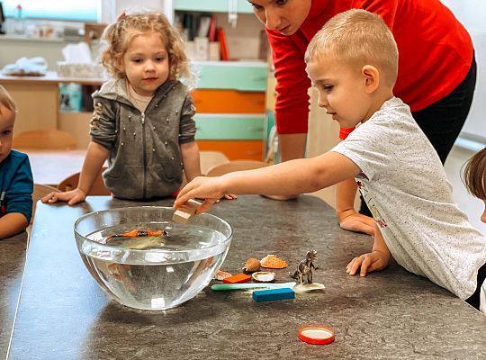 Eksperymenty z wodą