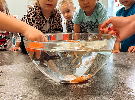 Eksperymenty z wodą