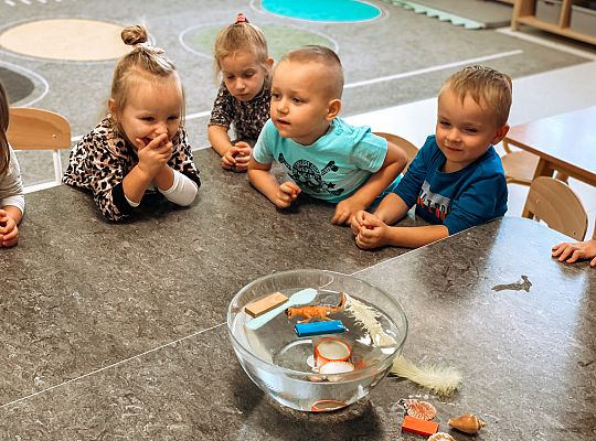 Eksperymenty z wodą