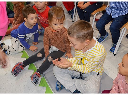 Międzynarodowy Dzień Zwierząt