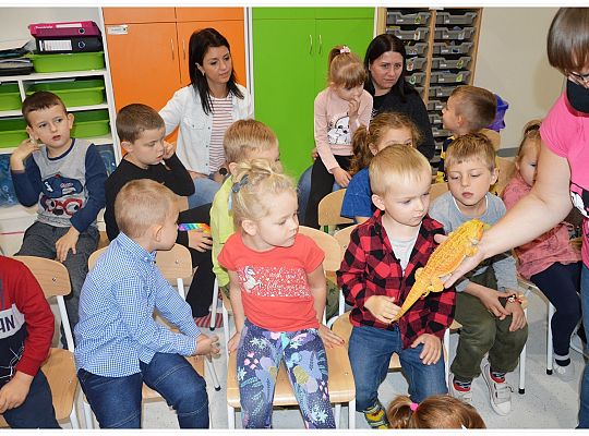 Międzynarodowy Dzień Zwierząt