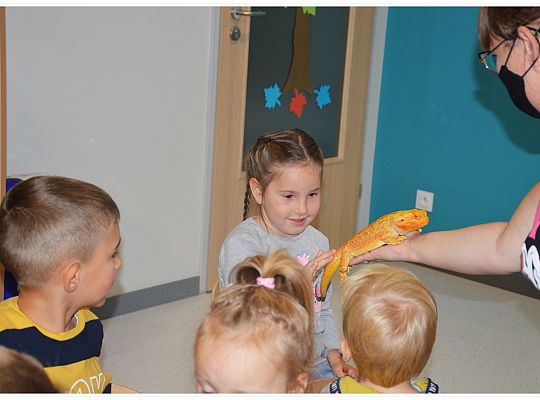 Międzynarodowy Dzień Zwierząt