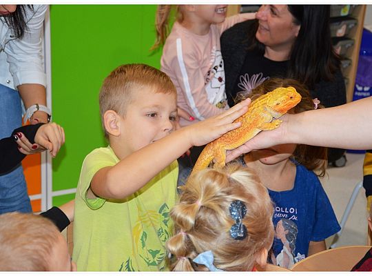 Międzynarodowy Dzień Zwierząt