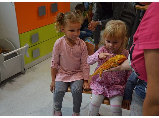 Międzynarodowy Dzień Zwierząt