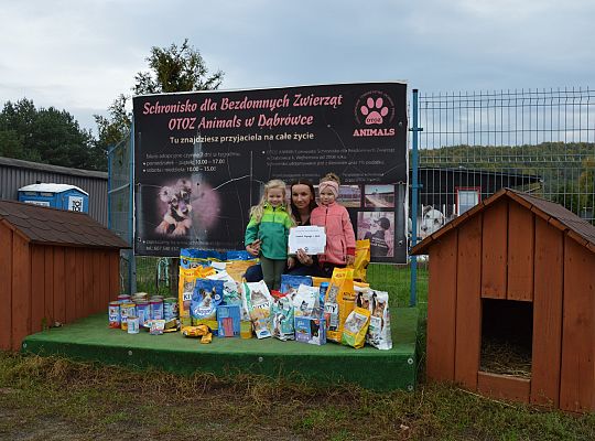 Międzynarodowy Dzień Zwierząt