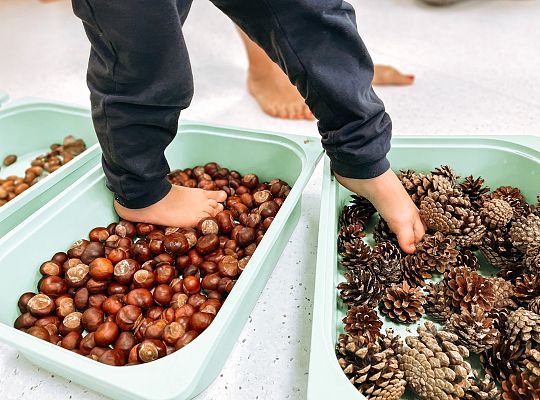 Jesienna sensoryczna ściezka