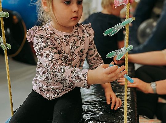 Alpaki i zajęcia sensoryczne