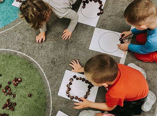 Edukacja matematyczna