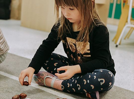 Edukacja matematyczna