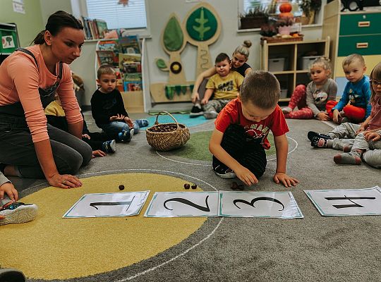 Edukacja matematyczna