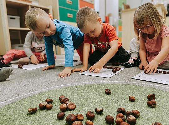 Edukacja matematyczna