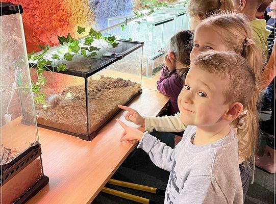 Wystawa zwierząt egzotycznych