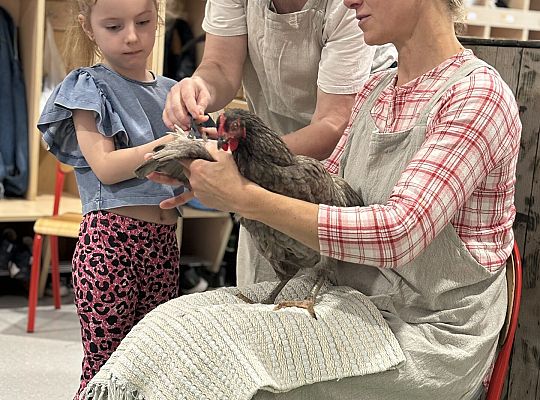 Zwierzęta gospodarskie