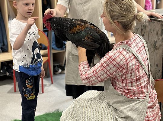 Zwierzęta gospodarskie