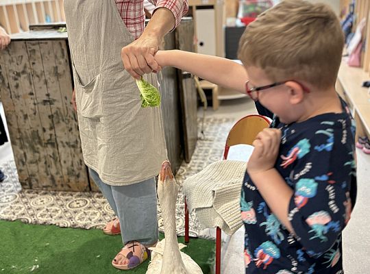 Zwierzęta gospodarskie