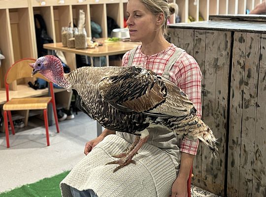 Zwierzęta gospodarskie