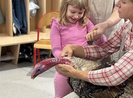 Zwierzęta gospodarskie