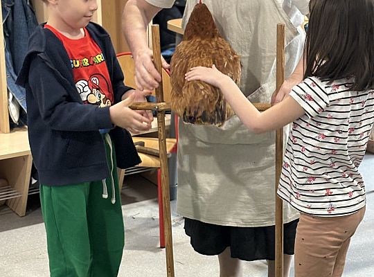 Zwierzęta gospodarskie