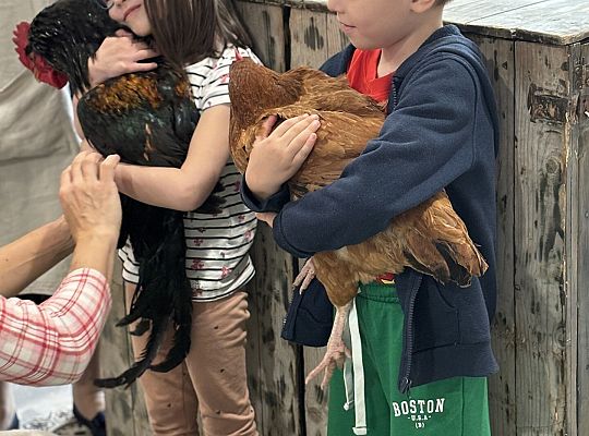 Zwierzęta gospodarskie